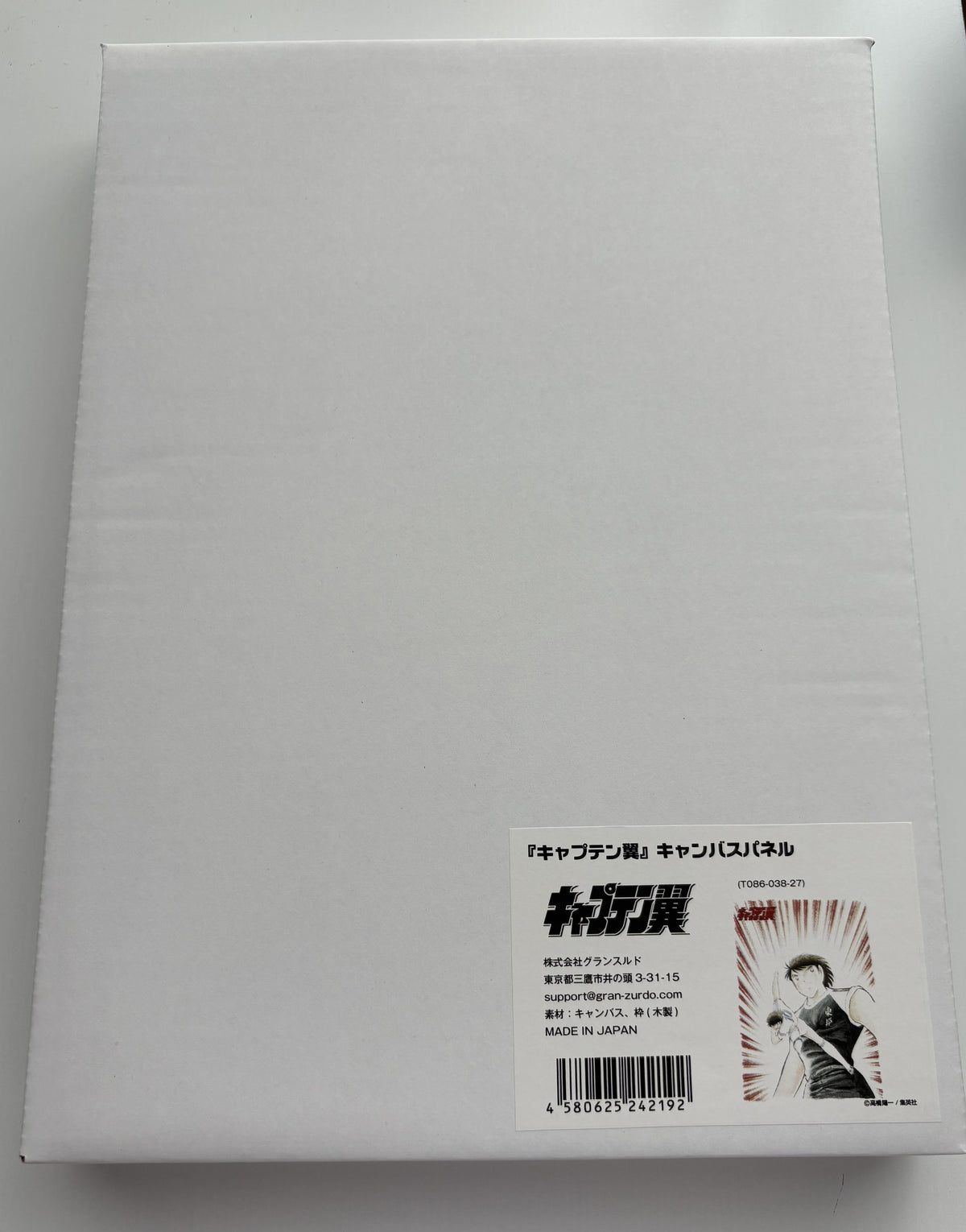 Captain Tsubasa – Kojiro Hyuga Canvas con Firma Original de Yōichi Takahashi – Japón